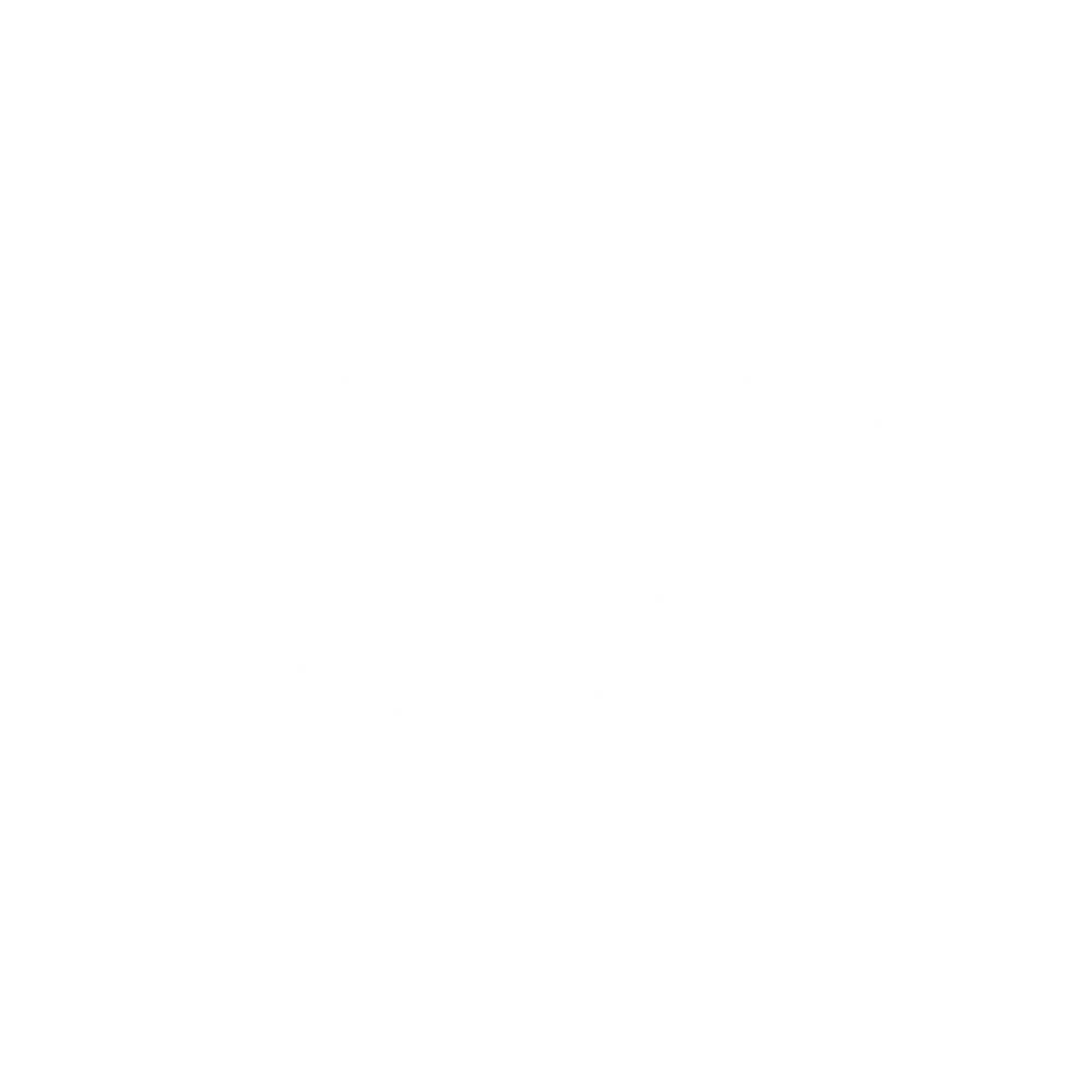 013 - BSZ