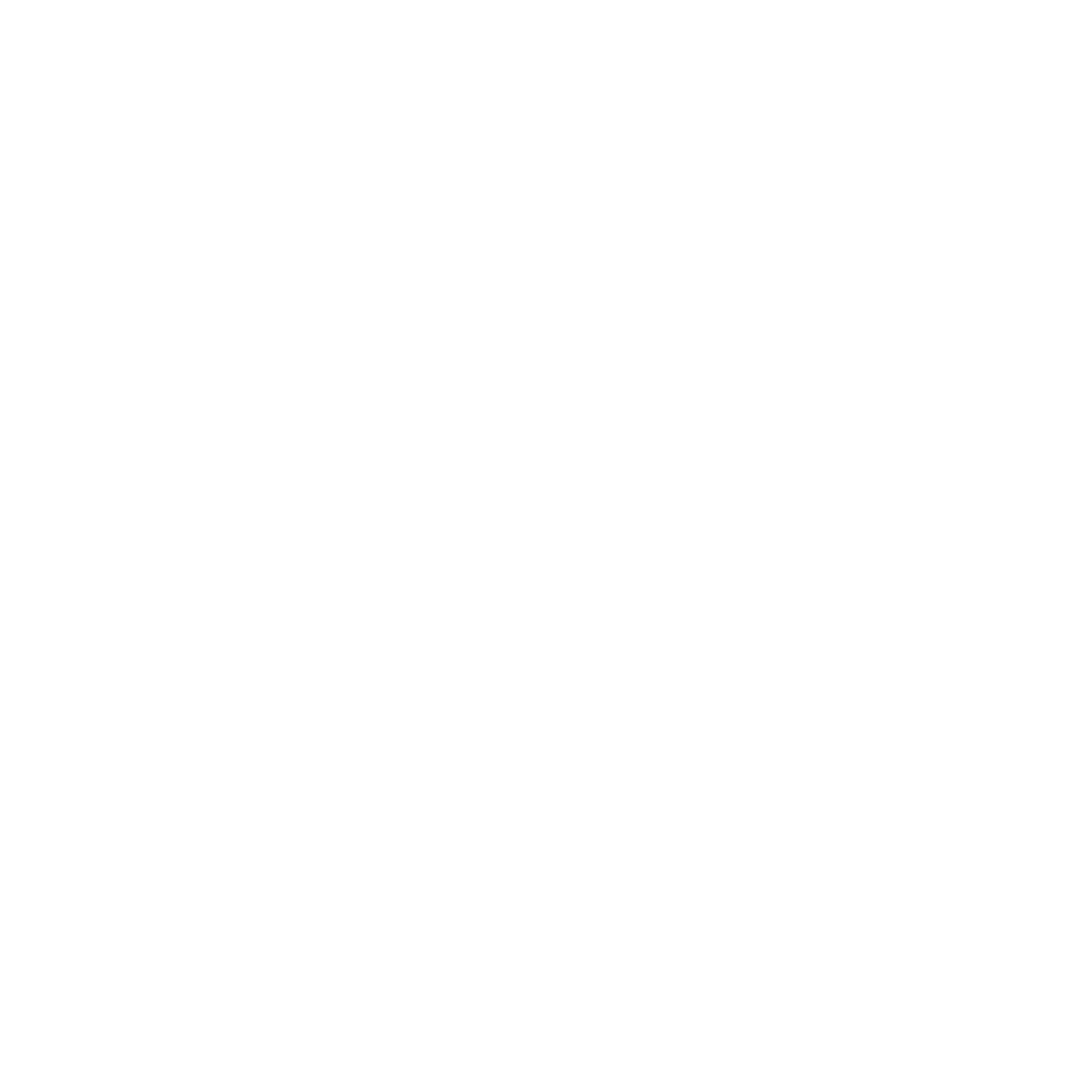 LIFEVIZ BRANCA
